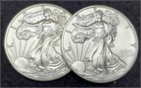 (2) 2021 Type 1 Silver Eagles