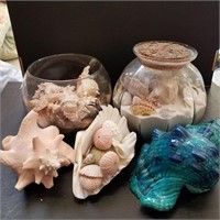 Beautiful Sea Shells and Sand