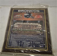 Denver Broncos Super Bowl 33 Plaque