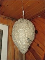 Paper Wasp Nest 18" Tall