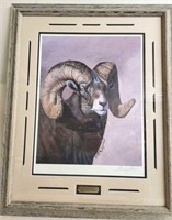 North American Wild Sheep by Gary R. Swanson