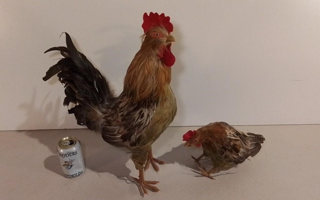 Two Feathered Roosters