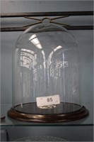 ANTIQUE GLASS DOME DISPLAY