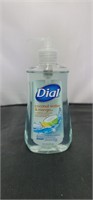 Dial Coconut Water and Mango Hydrating Hand Soap