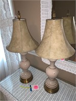 PAIR OF BEAUTIFUL FROSTED GLASS PAINTED LAMPS