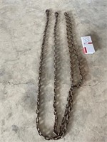 20' Log Chain - 2 Grabs