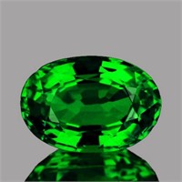 Natural Emerald Green Tsavorite Garnet 1.16 Cts -