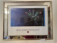 1980's Brian Seaward Photography - 28" x 22"