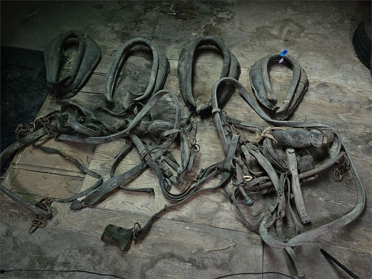 Horse harnesses, Haines