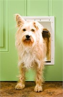 PetSafe Plastic Dog and Cat Door 8.5x12.25" Flap