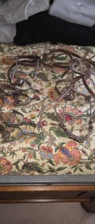 Lot of horse tack bridals bits 2 sets of spurs