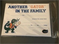 Florida Gators Baby Birth Announcements 10ct