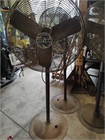 Patton Pedestal shop fan 36 inch