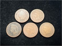 Lot of 5 Indian Head Pennies