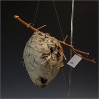 Hornet Hive on a stem