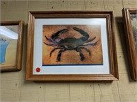 Blue Crab Framed Print 14.5 x 12