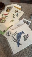 Several bird prints