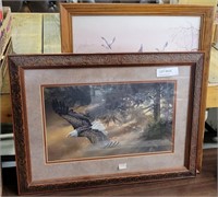 2 FRAMED WILD BIRD ART PRINTS