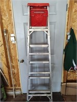 Werner 6ft Metal Ladder