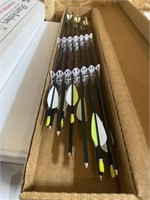 1 Dozen Easton Genesis 1820 Arrows