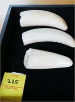 3 SMALL ANTIQUE SPERM WHALE TEETH IVORY AS-IS