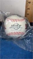 American association baseball appears to be new