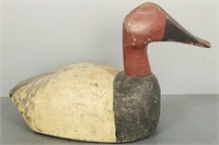 Vintage carved & painted canvasback decoy - 16"