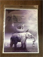 Elephant photo print 8.5X11" mounted as pictured