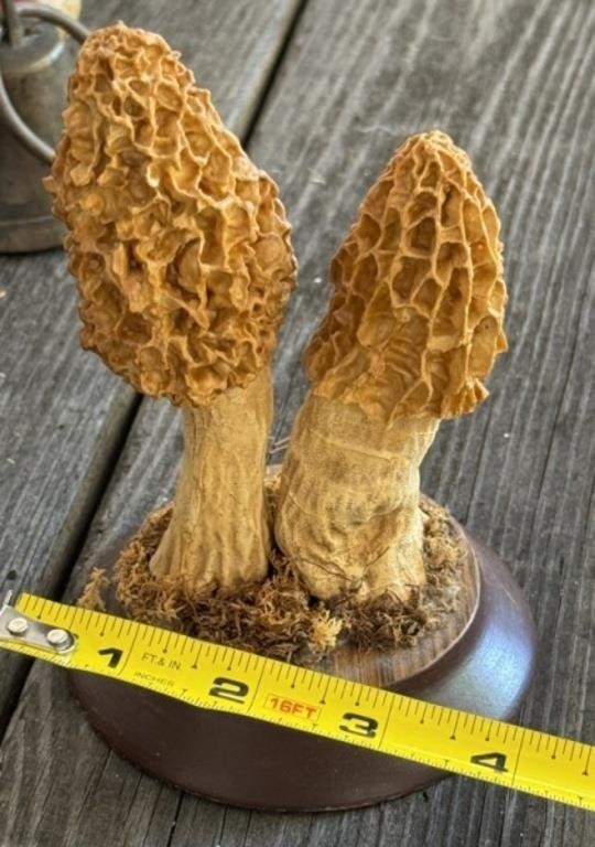 Mushroom Carving