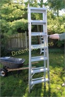 Approx 12FT Extendable Aluminum Ladder