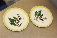 California Retro Brockware Plates