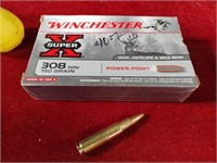 308 Winchester Cartridges (20)