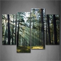Sunshine Through Forest Wall Art Painting Pictures