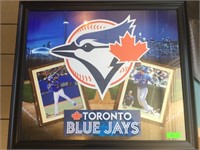 Toronto Blue Jays Framed Photo's