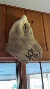 Large piece of hanging driftwood that looks like