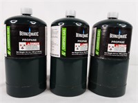 Bernzomatic Fuel Cylinders (3)