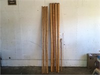 Lot of Bamboo