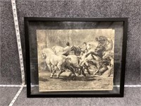 Horses Framed Print