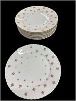 (8) Victoria Austria Plates