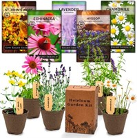 Medicinal Herb Garden Starter Kit