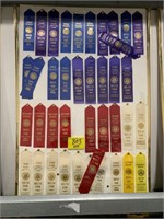 FRAMED DELTA FAIR RIBBONS