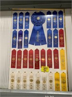 FRAMED DELTA FAIR RIBBONS