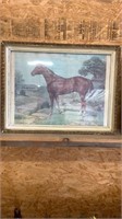 Horse picture 25x19