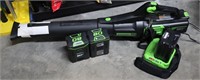 Greenworks Pro Blower w/Batteries & Charger