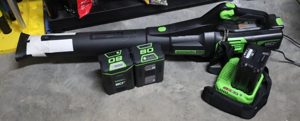 Greenworks Pro Blower w/Batteries & Charger