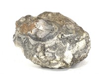 5.25" W Conglomerate Mineral Specimen