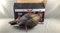 AvianX HDR Jake