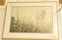 Framed print of White Tiger by Serry-Lesber