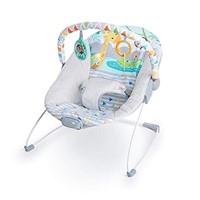 (N) Bright Starts Baby Bouncer Soothing Vibrations