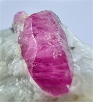 77 GM Beautiful Ruby Crystal On Matrix Specimen
